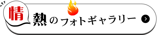 情熱のフォトギャラリー