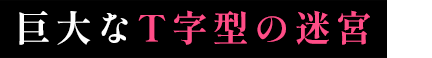 巨大なT字型の迷宮